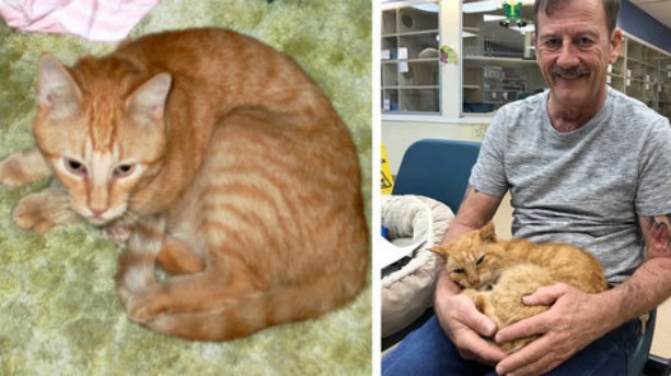 Мужчина нашел своего любимого кота спустя 14 лет