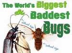 Самые большие и страшные жуки в мире