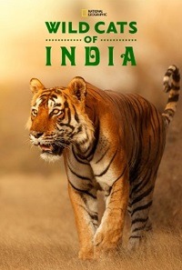Дикие кошки Индии / Wild Cats of India (2020) (2 серии)