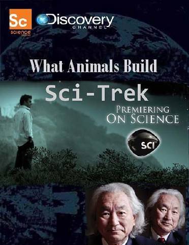 Наука и техника. Что строят животные? (2009)