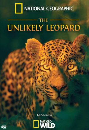 National Geographic: Необычный леопард (2012)