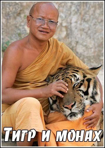 Тигр и монах (Гарольд Покизер) (2007)