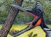Китайцы открыли новый вид летающих динозавров с огромными зубами