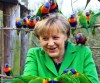 Фото дня: Ангела Меркель и много попугаев (2 фото)