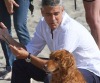 Джордж Клуни снялся в рекламе с собакой (10 фото + видео)