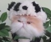 Персидский кот в костюме панды