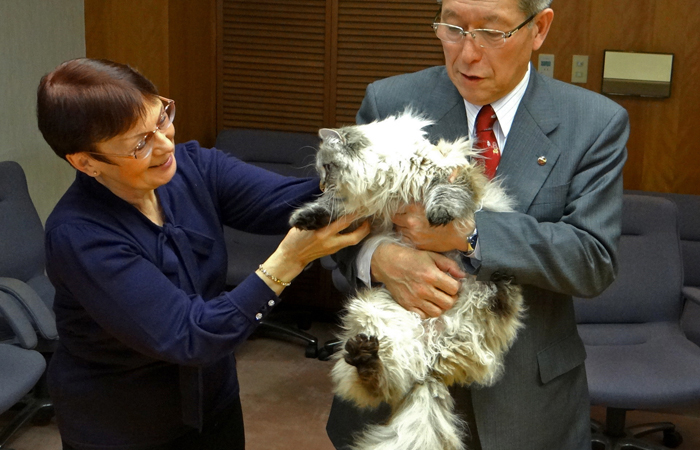 Кот, подаренный Путиным японцам, обживает новый дом