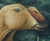 Палеонтологи обнаружили останки динозавра с 800 зубами