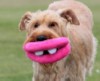 Новая игрушка для собак-плюшевые губы