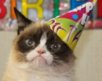 Сердитая кошка Grumpy Cat отметила День Рождения