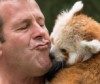 Детеныш красной панды подрастает в австралийском зоопарке