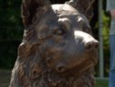 На Поклонной горе открыли памятник «Фронтовой собаке»