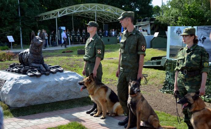 Памятник фронтовым собакам в Москве S38353546
