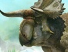 Палеонтологи открыли нового рогатого динозавра