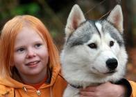 Голубоглазые хаски из Сибири лечат детей в московском парке