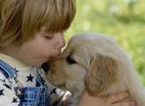 Ученые доказали противоаллергическое влияние собак на детей
