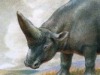 Под Тобольском впервые обнаружили останки древних носорогов
