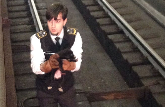 В московском метро машинист поезда спас щенка, упавшего на рельсы