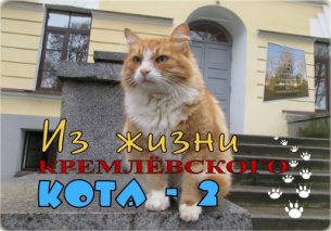 Открылась выставка, посвященная коту новгородского Кремля