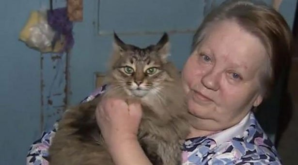 Обнинская кошка Машка стала героиней мировых СМИ