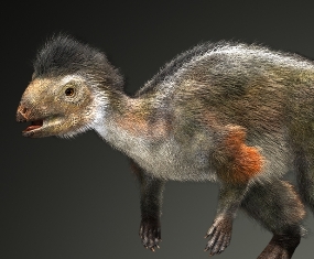 Первый в мире травоядный пернатый динозавр найден в Забайкалье