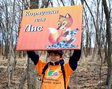 «Деревня для лис»: школьники Владивостока организовали место для кормления рыжих...