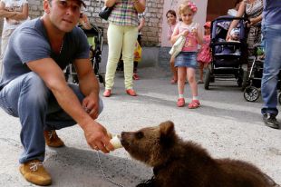 В Каменске-Уральском циркового медвежонка прохожие накормили мороженым