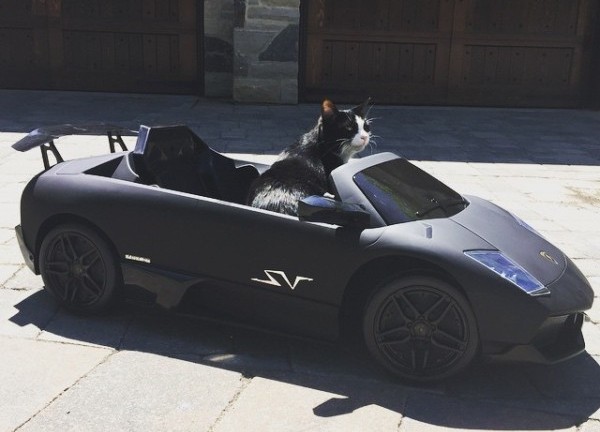 Канадский ди-джей подарил своему коту мини-Lamborghini