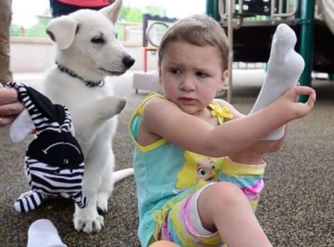 Девочка, родившаяся без ног, подружилась с трехлапым щенком