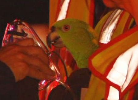 Пожарные в США спасли двух попугаев, звавших на помощь