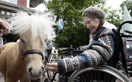 Пони-терапия в шведском доме престарелых