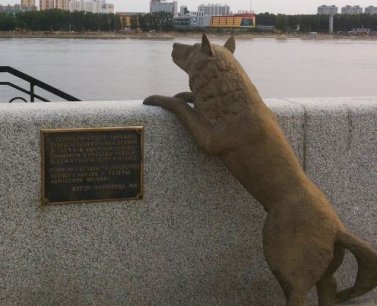 Памятник преданному псу Дружку установили в Благовещенске