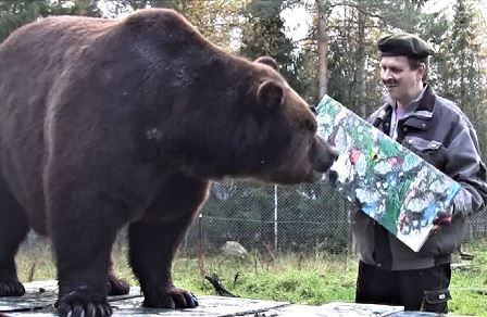В Финляндии появился медведь-художник