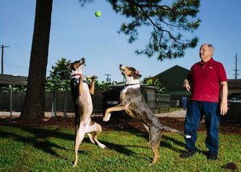 Ветеринар потратил сотню тысяч долларов, чтобы клонировать любимого пса