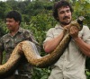 В Гайане поймали гигантскую анаконду