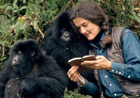 Дайан Фосси - Королева горных горилл