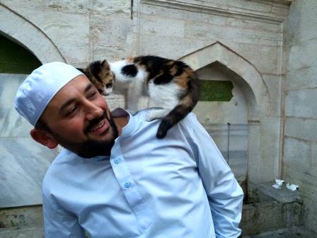 Стамбульский имам устроил в мечети кошачий приют