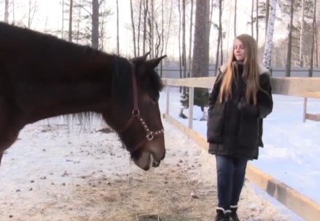 На Урале школьница выкупила полицейского коня, списанного на убой
