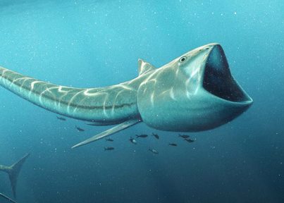 Палеонтологи нашли ископаемых рыб с огромными ртами