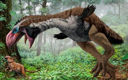 50 миллионов лет назад по Арктике гуляли гигантские птицы