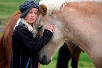 Лошади способны понимать эмоции человека