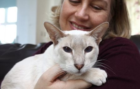 В Великобритании кошка чудом выжила после 8 дней в посылке