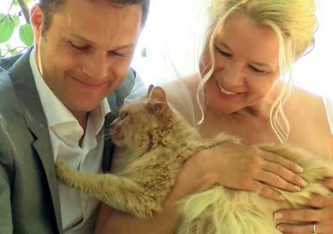 Канадская пара устроила свадьбу в доме-приюте для тысячи кошек