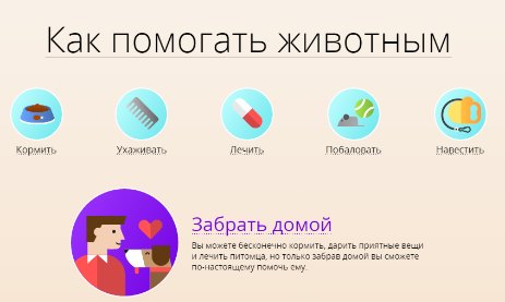 Читать В России заработал сервис для помощи бездомным животным с онлайн-трансляцией из приютов