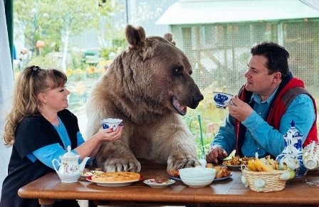 Читать Медведь Степан и его необычная жизнь в русской семье