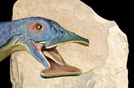 Читать Палеонтологи нашли останки удивительных морских травоядных животных
