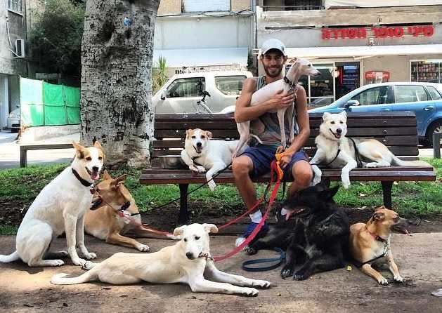 Читать Тель-Авив объявил себя самым дружественным для собак городом в мире