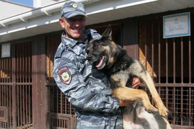 В Нижегородской области работает служебный пес-полиглот