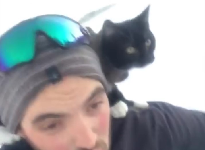 Парень прокатился на санках с котом на плече