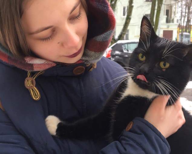 В Кировске спасли кота попавшего в ловушку под асфальтом